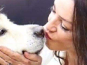 女模嫁给6岁爱犬怎么回事 来龙去脉曝光真令人难以置信