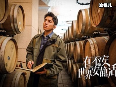 《在不安的世界安静的活》职场女性被完美演绎，马伊琍角色很重要！