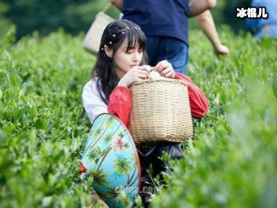 《让生活好看》郑爽新家照片曝光，没想到她是这样的郑爽！