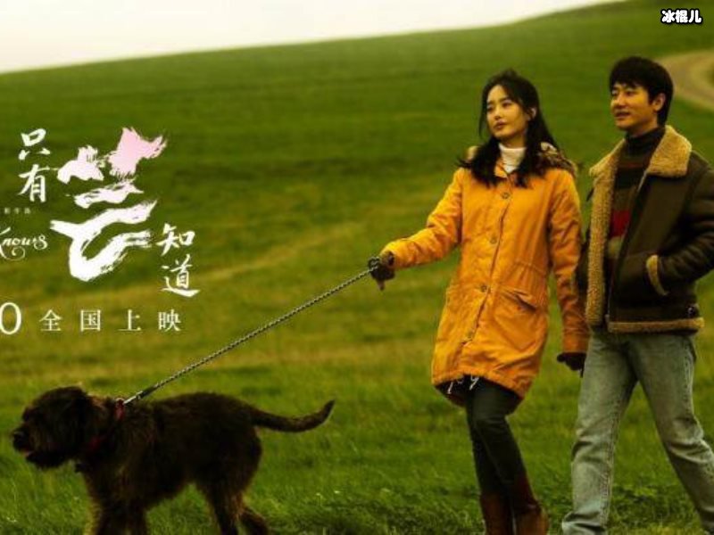 《只有芸知道》终于谈成了电影芳华，未结束的恋情让人难忘！