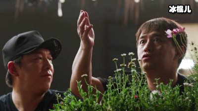 《向往的生活》回归，口碑却大不如前！