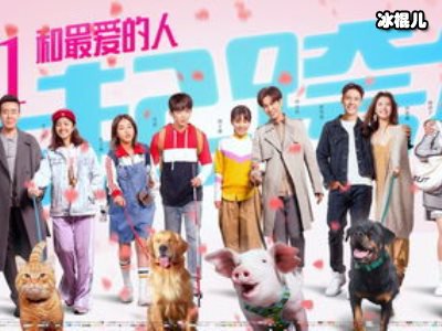 电影《宠爱》宠物治愈超温暖，实现票房话题双丰收！