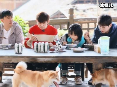 《向往4》宋丹丹返场，“老舅”陈赫惊喜加盟！