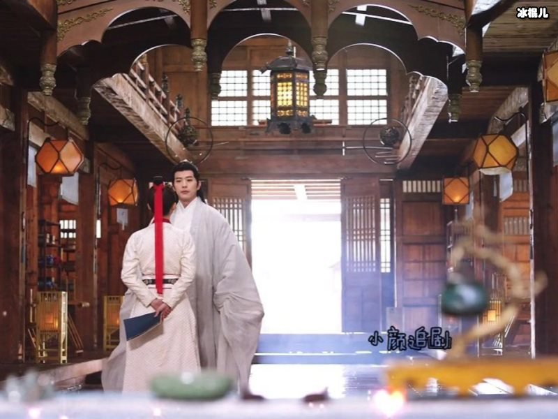 《国子监来了个女弟子》桑祈的身份是什么会武功吗？