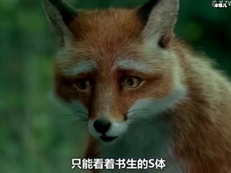 《赤狐书生》票房破亿，口碑急剧下降这个锅谁来背？