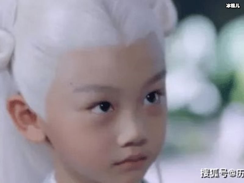 白滚滚什么时候怀上的？它是哪个小说的人物