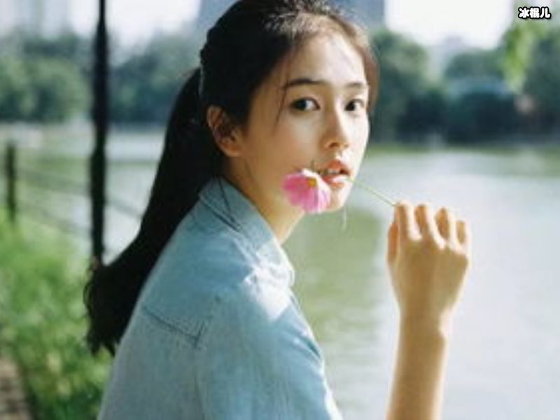 白鹿四部新剧强势来袭，男主一个比一个高颜值！