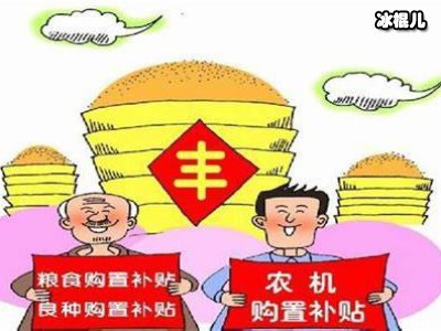 不能错过的三项补贴，农村每个人都有赶紧查看到账没有