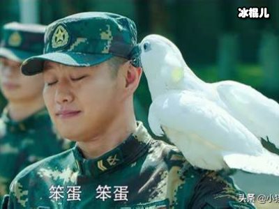 爱上特种兵梁韶雪第几集出现？梁韶雪怎么受伤的