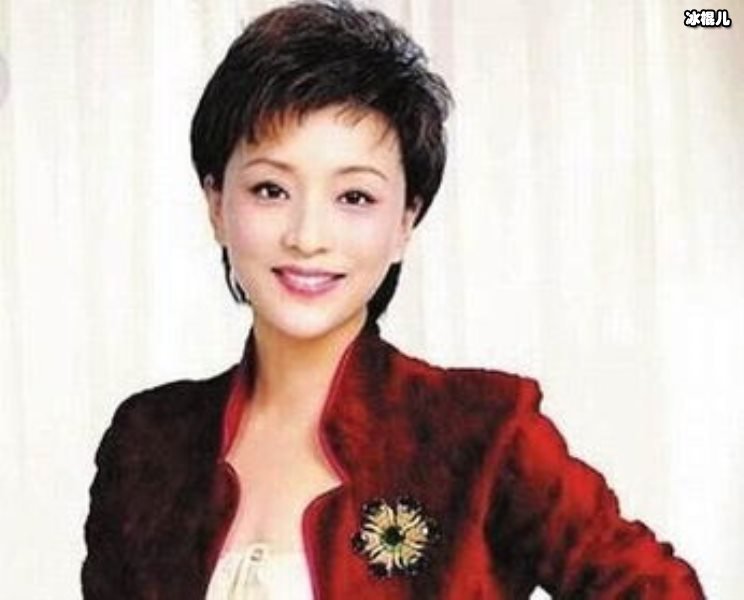 杨澜晒豪宅内景，颜值气质竟和董卿不相上下
