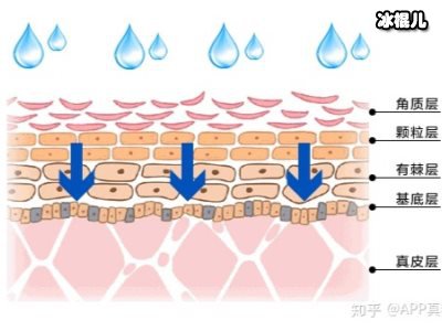 科技即未来悠然逸方“肽透肌”洗牌，传统门店美业转型升级