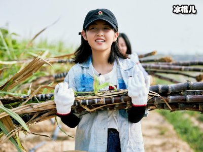 综艺榜单出炉，《向往4》前三，《极挑》没有上榜