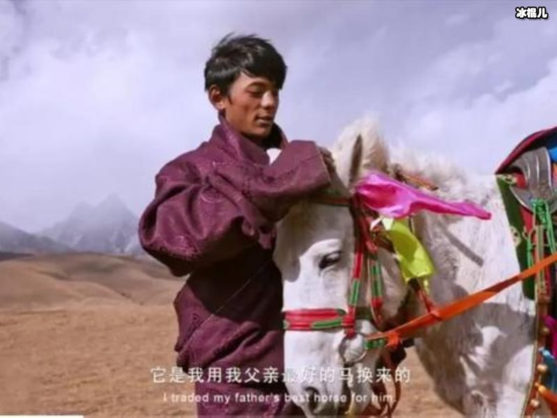 理塘丁真怎么走红的，淳朴的懵懂少年郎用自信和笑容感动全国
