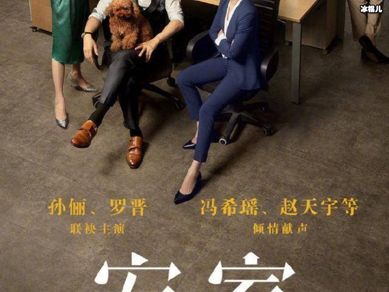 热播剧《安家》中女主角房似锦，一个敢闯敢拼的年轻奋斗者