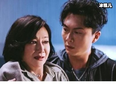刑侦日记结局是什么？谁是好人谁是坏人？