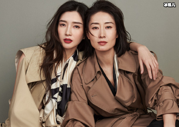 女士的法则讲什么故事