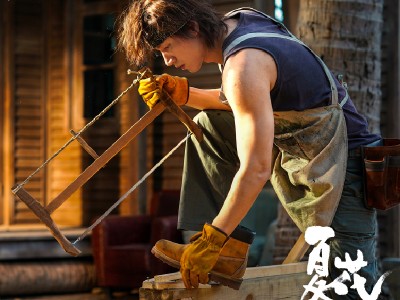 言承旭新剧《夏花》定档 《夏花》每周更新多少集