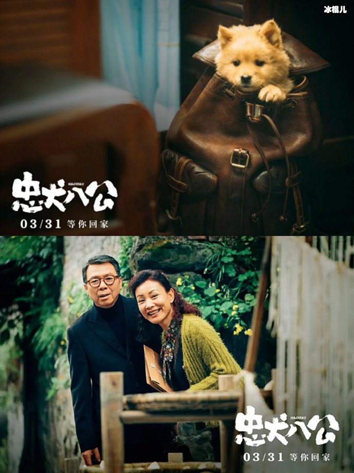 忠犬八公大概故事