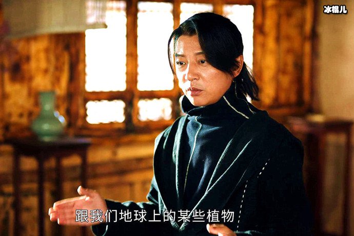司藤白金的身份
