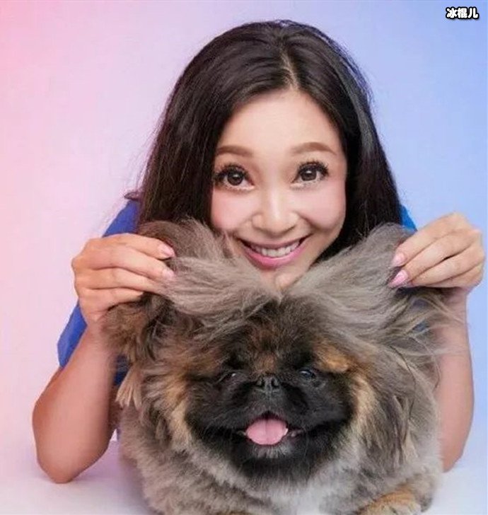 傅明宪图片
